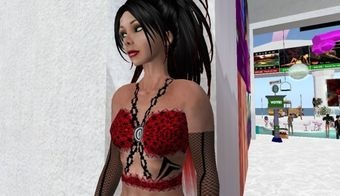 Illustration for article titled Second-Life Hooker Bares All